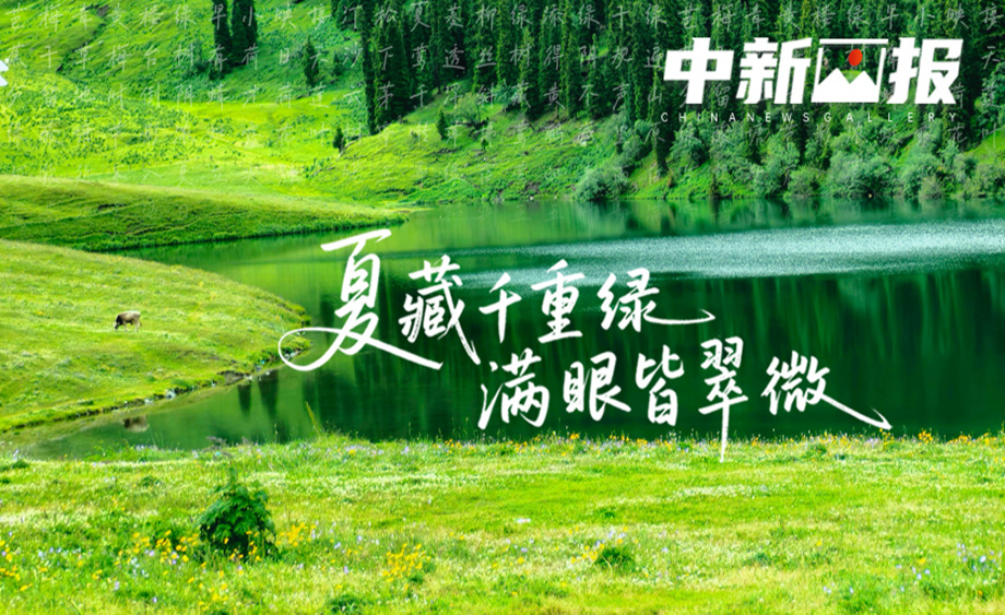 【詩畫中國】夏藏千重綠 滿眼皆翠微