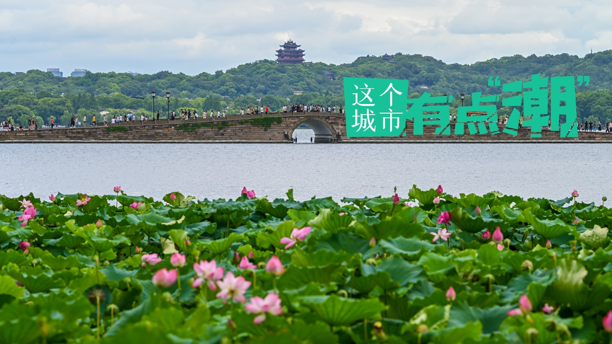 【这个城市有点潮】杭州：这里的花期已排满，四时各有专属“花样浪漫”