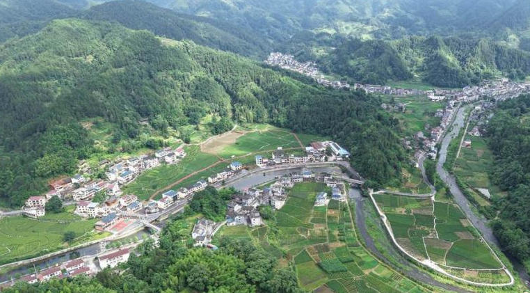 重庆秀山：青山伴茶园 乡村美如画