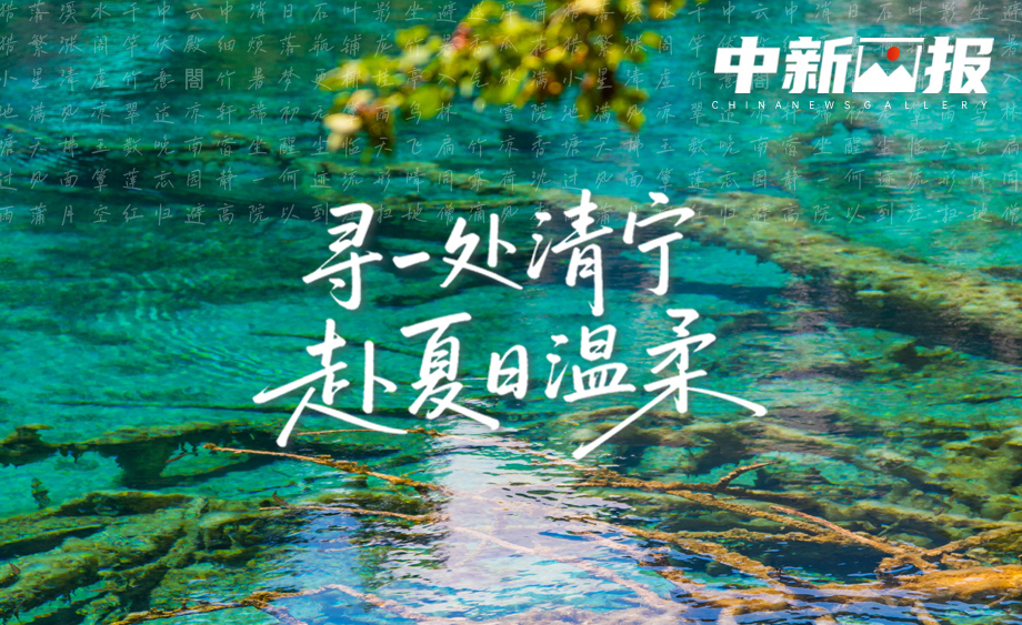 【诗画中国】寻一处清宁 赴夏日温柔