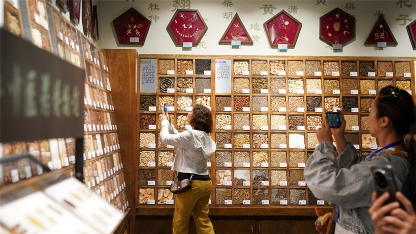 解读2030年发展目标 规划推动人人享有中医药服务