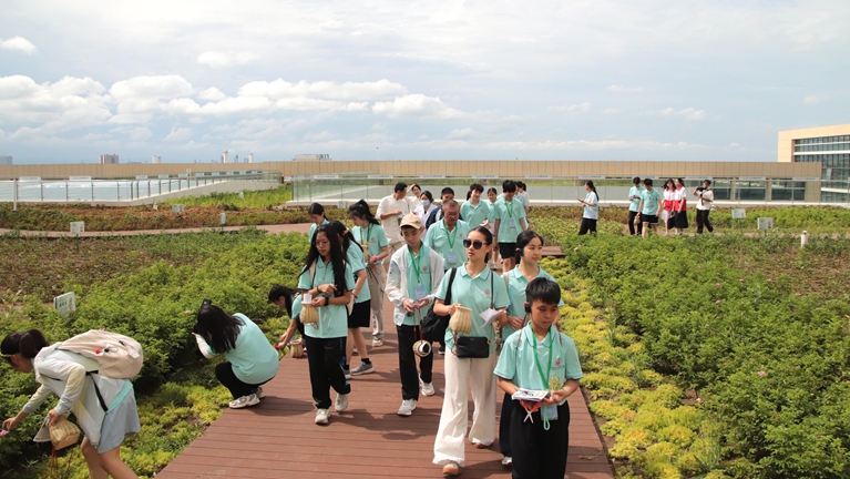 采草药、学刮痧 7国华裔小记者在四川“触摸”中医药
