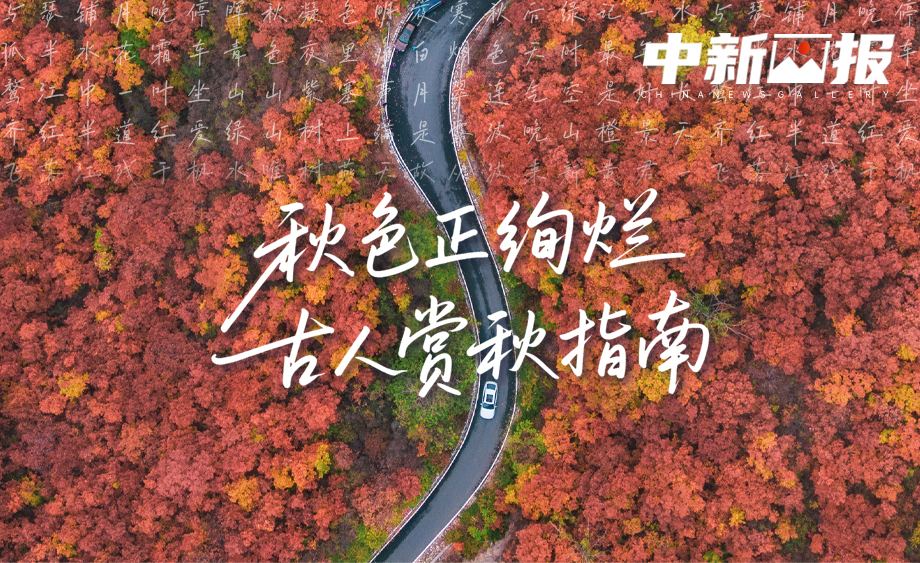 【诗画中国】秋色正绚烂 古人赏秋指南