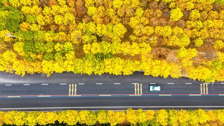 车行盐湖公路 邂逅山西运城秋日画卷