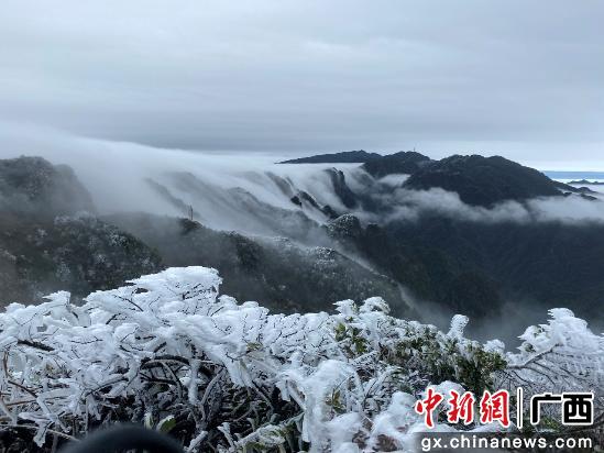 南宁大明山风景旅游区或现冰凌雾凇景观 将采取限流措施