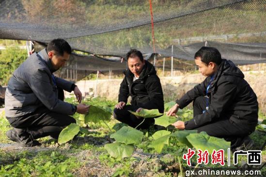 广西金秀：精准监督助力瑶医药经济高质量发展