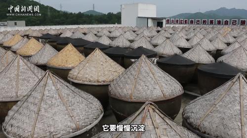 哪種醬油適合做紅燒肉？去百年醬園一探究竟