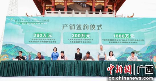 图为产销签约仪式现场。平南县融媒体中心供图