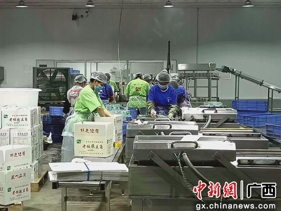 图为“同古酸菜”无菌化处理生产车间一角。唐梓耀 摄