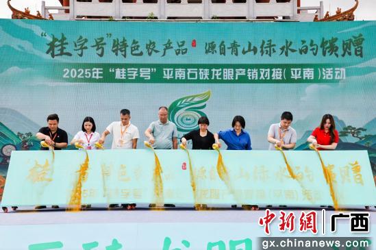 图为活动现场。平南县融媒体中心供图