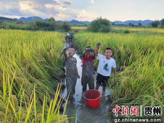 孩童稻田里抓鱼(资料图)。主办方供图 孩童稻田里抓鱼(资料图)。主办方供图