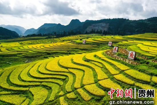 位于司头的千层梯田。主办方供图 位于司头的千层梯田。主办方供图