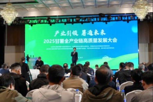 2025����ȫ��ҵ����������չ����ں���ͨ������