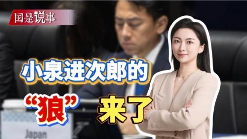 小泉进次郎的“狼”，来了