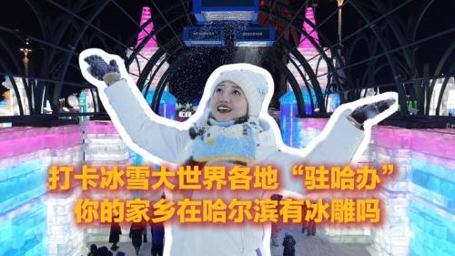 小新Talkshow：打卡冰雪大世界各地“驻哈办”