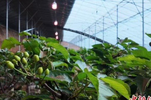 ���������������۾��á� �����°�ӣ��ӳ���������·