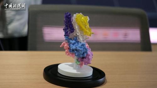 浙大發(fā)表《自然》論文 展示學(xué)科交叉育人碩果