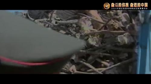 中国正能量丨从可可西里到祁连山：青海大地的生态守护者