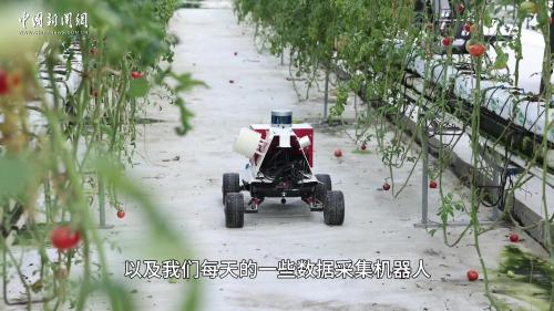 浙江桐乡：未来农场里的“数字春耕”