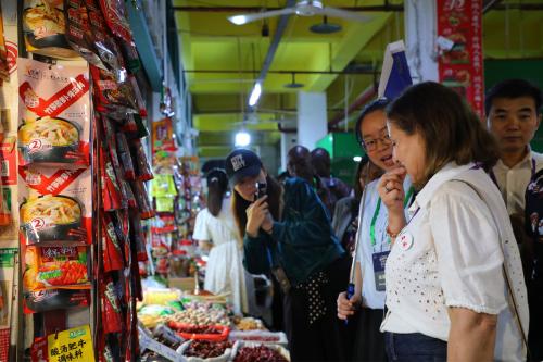 Overseas human rights experts explore grassroots governance in Chongqing Minzhu Village
