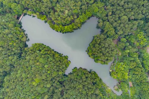 Daihu Lake: Ecological restoration revives a mountain jewel