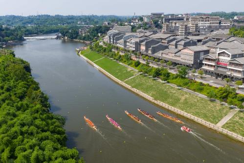 Chongqing activates 'town economy' model: One town, one IP