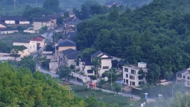 浙江安吉：万倾竹海间感受夏日清凉