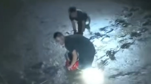 群众坠海深陷泥潭 海警消防合力营救