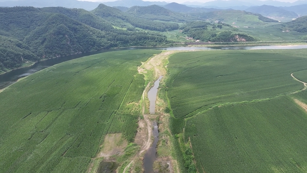 群山河流环绕千亩玉米地 形成壮观“青纱帐”