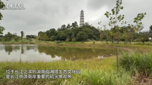 （长江十年行）古塔映江碧 湖南临湘昔日“工业伤疤”蝶变生态画廊