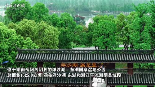 （长江十年行）治污还湿 湖南湘阴洋沙湖生态向好焕新颜