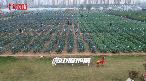 6000�����߲��ʹ��������֣��